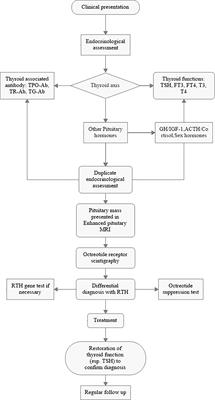 Combination of transsphenoidal endoscopic surgery and presurgical somatostatin analogs in thyrotropin (TSH)-secreting pituitary adenomas: Treatment outcome and long-term remission at a single pituitary center